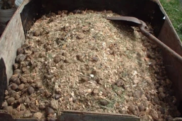 சீன உரத்தில் மற்றுமொரு ஆபத்தான பொருள்? வெளிவந்த தகவல் - செய்திகளின் தொகுப்பு