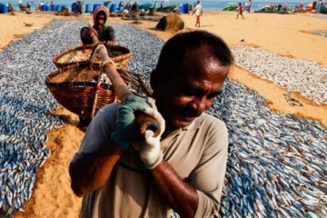 ඉන්දීය ධීවරයන්ට අපේ සීමාවට එන්න බලපත්‍ර දීමක් ගැන සකච්ඡාවක්