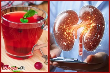 இந்த பானத்தை குடிங்க - சிறுநீரகம் கெட்டுப்போகாமல் இருக்கும்