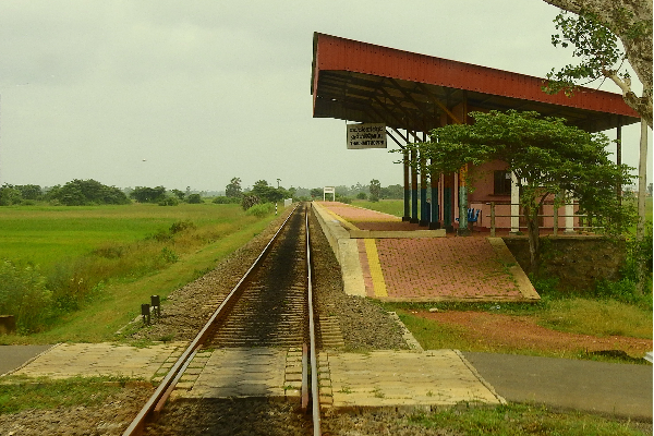 ரயில்வே நிலங்களில்  பயிர்ச் செய்கை! | Cultivation In Railway Lands
