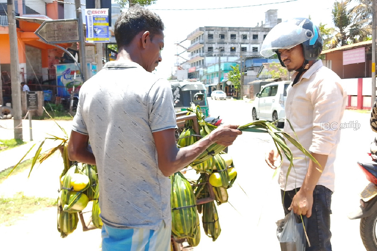 சூட்டை தணிக்கும் வெள்ளரிப்பழம்! விற்பனை வீதம் அமோகம் | Cucumber To Relieve Extreme Heat