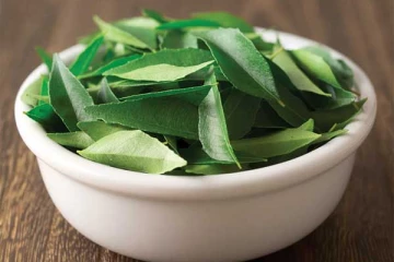 கருவேப்பிலை ஃப்ரஷ்ஷாக ரொம்ப நாளா இருக்கனுமா.... இதுதான் ஒரே ஒரு வழி!