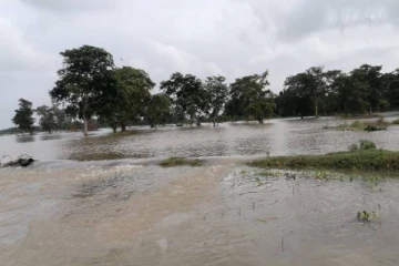 தமிழர் பகுதியில் வெள்ளக்காடான விவசாய நிலங்கள்! கவலையில் விவசாயிகள்!