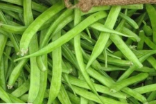 யாரெல்லாம் கொத்தவரங்காய் சாப்பிடக்கூடாது தெரியுமா...?