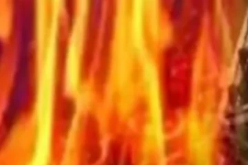 කර්මාන්තශාලාවක විශාල ගින්නක්..!