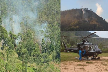 சமனல இயற்கை சரணாலயத்தில் ஏற்பட்ட தீ கட்டுக்குள் : பல ஏக்கர் வனப்பகுதி நாசம்