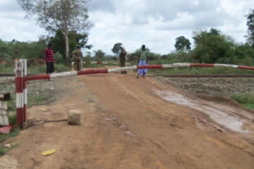 பொலன்னறுவையில் ரயிலில் மோதி யானை உயிரிழப்பு