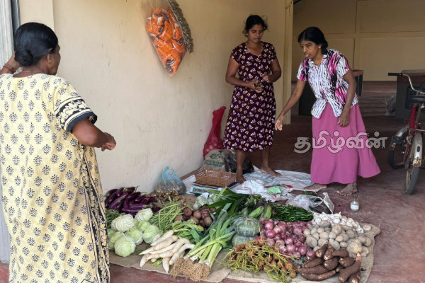யாழில் 28 வருடங்களுக்கு பின் மீண்டும் இயங்கவுள்ள பொது சந்தை | Public Market To Open In Jaffna After 28 Years