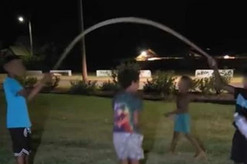 பாம்பை ஸ்கிப்பிங் கயிறாக்கி விளையாடிய சிறுவர்கள்