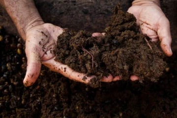 ஊடகவியலாளர் ஒருவர் எழுப்பிய கேள்வி: தடுமாறிய 3 அமைச்சரவை பேச்சாளர்கள்