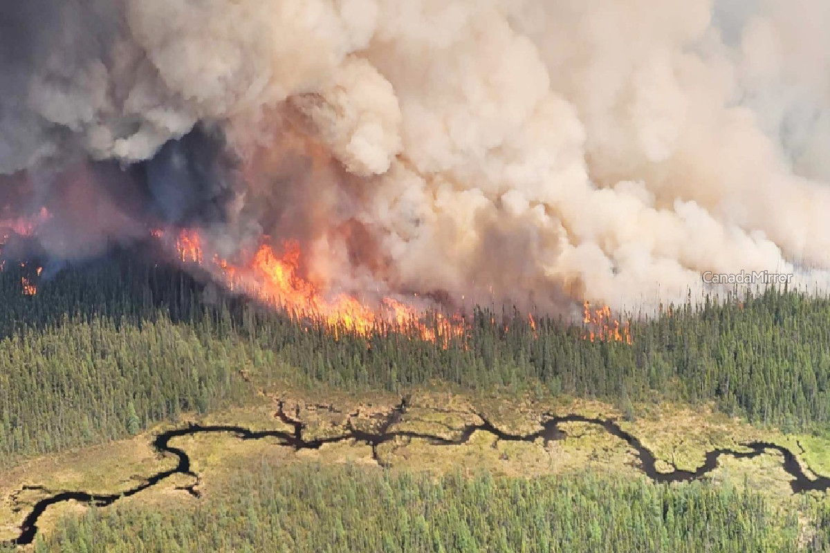 ஒன்டாரியோவில் தீவிரமடையும் காட்டுத்தீ | Nearly 200 Forest Fires Burning In Ontario