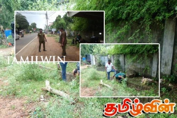 வவுனியாவில் டெங்கு நோயை கட்டுப்படுத்த விசேட செயற்திட்டம்