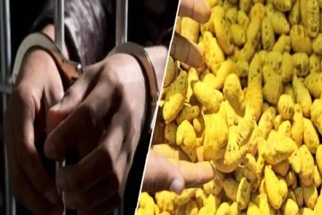 சட்டவிரோத முறையில் மஞ்சள் கடத்தல்களுடன் இருவர் கைது