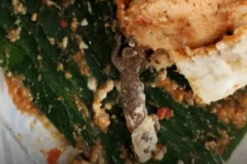 பல்லி விழுந்த உணவு விஷமாகுமா? காலை உணவின் போது செவிலியருக்கு காத்திருந்த பேரதிர்ச்சி