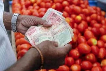 மீண்டும் உயர்ந்தது தக்காளி விலை! இன்றைய நிலவரம்