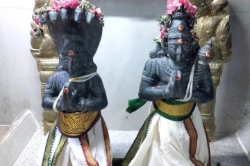 கேது தோஷம் விலக செய்ய வேண்டிய பிரத்யேக குறிப்புகள் ..