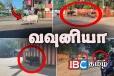 வீதிகளில் விபத்துக்களை ஏற்படுத்தும் கால்நடைகள்: மக்கள் கடும் விசனம்