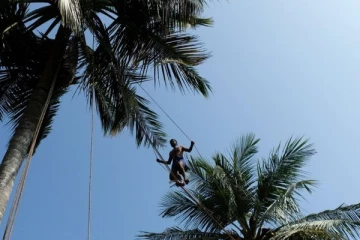 யாழில் மரத்திலிருந்து வீழ்ந்த நபருக்கு நேர்ந்த சோகம்!