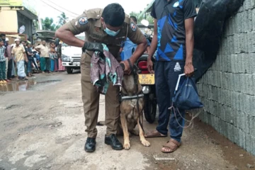 අටළුගම දැරියගේ සිදුවීම ගැන ජනපතිගෙන් විශේෂ ප්‍රකාශයක්..