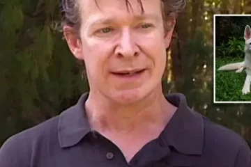 நாய்களை துஸ்ப்பிரயோகம் செய்த விலங்கியல் நிபுணர்