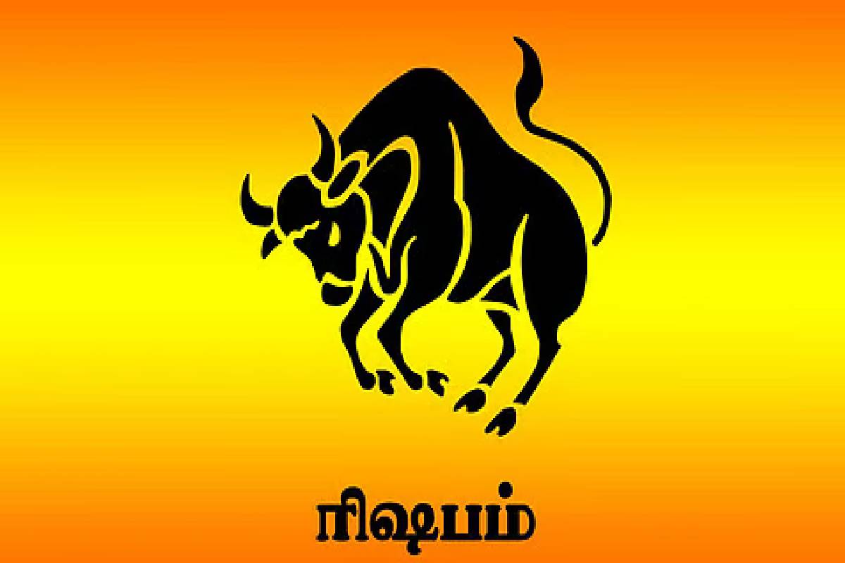 சனி உதயம் : இந்த ராசிகளின் வாழ்வில் அதிர்ஷ்ட கதவு திறந்தாச்சி! | Sani Udhayam These Zodiac Get Huge Money And Luck