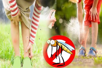 நுளம்புகளிடம் இருந்து குழந்தைகளை பாதுகாக்க முடியலையா? இதை ட்ரை பண்ணி பாருங்க