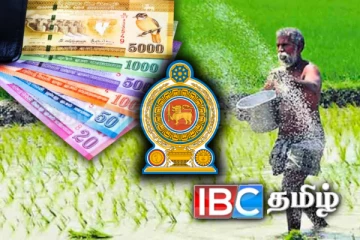 விவசாயிகளின் வங்கி கணக்குகளுக்கு வருகிறது பணம்: வெளியான நற்செய்தி