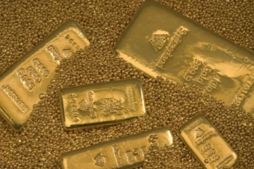 நீச்சல் குளத்திற்காக பள்ளம் தோண்டிய நபருக்கு கிடைத்த புதையல்