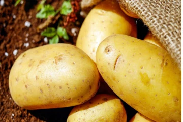 வறுத்த உருளைக்கிழங்கை ருசிக்க மாதம் ரூ. 50,000 சம்பளம்! பிரித்தானியாவில் இருக்கும் பிரபல ஹோட்டலின் சூப்பர் அறிவிப்பு