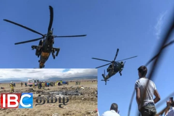 நடுவானில் நிகழ்ந்த அனர்த்தம் : பரிதாபமாக பறிபோன உயிர்கள்