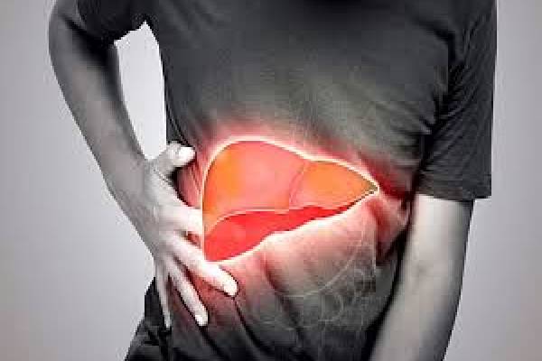 ஒரு ஸ்பூன் முருங்கைப்பொடியில் இத்தனை நன்மைகளா? | So Many Benefits In Spoonful Of Drumstick Powder ஒரு ஸ்பூன் முருங்கைப்பொடியில் இத்தனை நன்மைகளா? | So Many Benefits In Spoonful Of Drumstick Powder