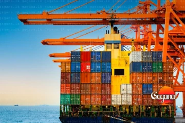 ඉන්දීය ව්‍යාපාරිකයා තෑග්ගට එවපු හාල් කන්ටේනර් පහට ආණ්ඩුව කරපු කැත වැඩේ