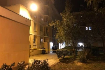 வெட்டப்பட்ட தலையுடன் காவல் நிலையம் சென்ற நபரால் பரபரப்பு: பிரான்சில் சம்பவம்