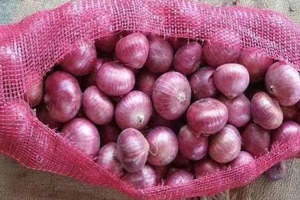 லங்கா சதொச நிறுவனம் வெளியிட்டுள்ள மகிழ்ச்சியான தகவல்! | Happy News Released By Lanka Sathosa Company