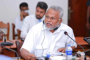 இன பிரச்சினைக்கு தீர்வு காண நடவடிக்கை! ஜனாதிபதியின் அறிவிப்பு தொடர்பில் அமைச்சர் வெளியிட்டுள்ள தகவல்