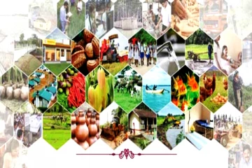 பன்முகப்படுத்தப்பட்ட ஒரு இலட்சம் வேலைகள் அபிவிருத்தி திட்டம்!