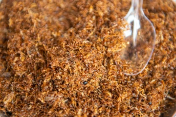 செவ்வெறும்பு சட்னிக்கு புவிசார் குறியீடு - ஏகப்பட்ட சத்து இருக்காம்..!