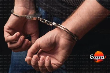 සංවිධානාත්මක අපරාධ කල්ලි සාමාජිකයෙක් අත්අඩංගුවට