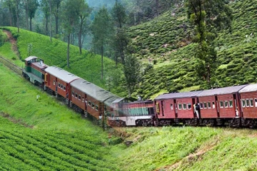 மலையக தொடருந்து சேவைகள் தொடர்பில் விசேட அறிவிப்பு