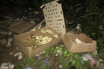 ஆலயச்சூழலில் இறந்த கோழிக்குஞ்சுகளை வீசிய விசமிகள்