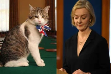 பிரதமர் பதவியில் இருந்து லிஸ் டிரஸ் ராஜினாமா: வைரலாகும் பூனையின் டுவிட்டர் பதிவு!