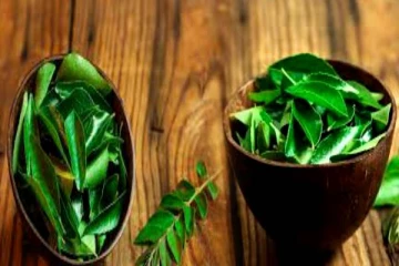 ஐந்து வகை நோய்களுக்கு மருந்தாகும் கறிவேப்பிலை!