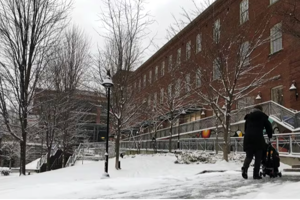ரொறன்ரோவில் பனிப்பொழிவினால் ஏற்பட்டுள்ள பாதிப்பு | Toronto Winter Travel Advisory Thursday Snow