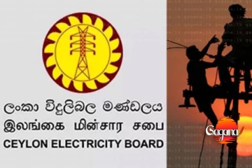 ලංවීමේ ලාභය 85%කින් පහළට