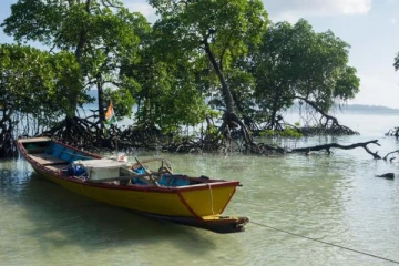 தமிழகத்தில் இப்படியொரு அழகா? ராமேஸ்வரத்தினுள் அந்தமான்; கண்டிப்பாக சென்று பாருங்க