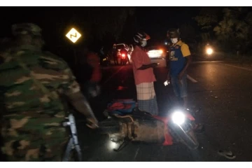 பளையில் கால்நடையினால் ஏற்பட்ட விபரீதம் (PHOTOS)