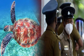 பொலிஸாரின் சுற்றிவளைப்பு: யாழில் சட்டவிரோத செயலில் ஈடுபட்ட ஒருவர் கைது