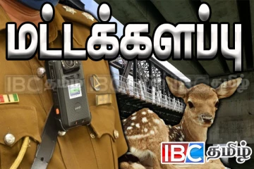 தமிழர் பிரதேசத்தில் கிலோ கணக்கில் கடத்தப்பட்ட மான் இறைச்சி