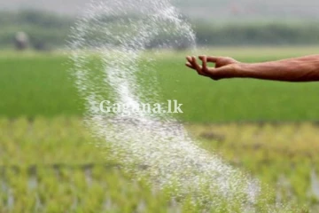 ගොවි මහතුන්ට සුබ පණිවිඩයක්.