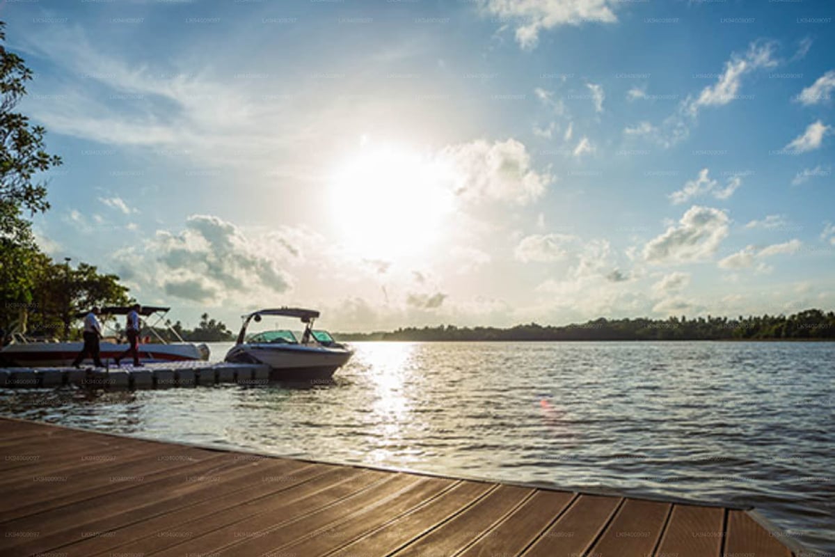 பிரித்தானியாவில் இருந்து இலங்கை வந்த பெண் மரணம் | Britain Teacher Dies In Sri Lanka